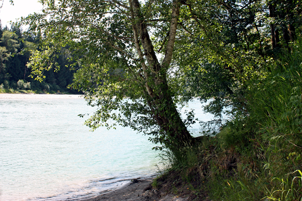 the river